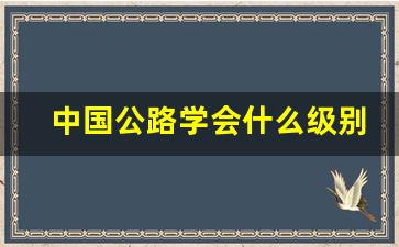 中国公路学会什么级别