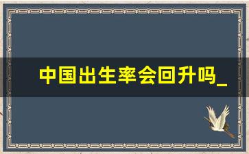 中国出生率会回升吗_中国人口还能挽救吗