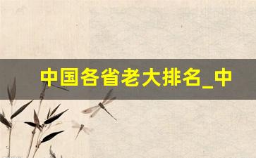 中国各省老大排名_中国各省一把大哥排名