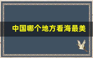 中国哪个地方看海最美_青岛和厦门哪个看海更好一些