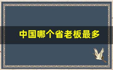 中国哪个省老板最多