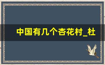 中国有几个杏花村_杜牧的杏花村有什么特色