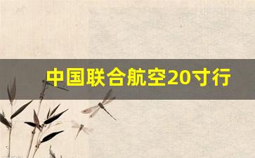 中国联合航空20寸行李箱能登机吗_不小心买了无免费托运行李额