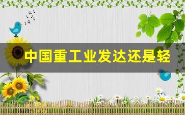 中国重工业发达还是轻工业发达_中国重工业和轻工业哪个发达