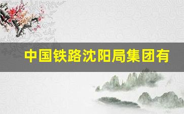 中国铁路沈阳局集团有限公司公司发展状况_2023铁路招聘正式工报名入口