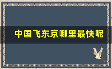 中国飞东京哪里最快呢_大连可以直飞哪些国家