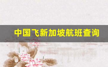 中国飞新加坡航班查询_酷航武汉到新加坡时间表