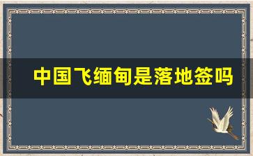 中国飞缅甸是落地签吗_缅北要签证吗