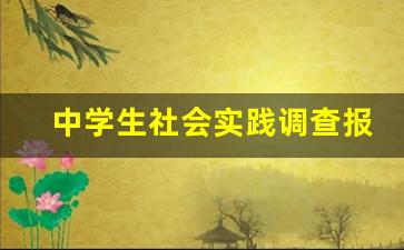 中学生社会实践调查报告范文