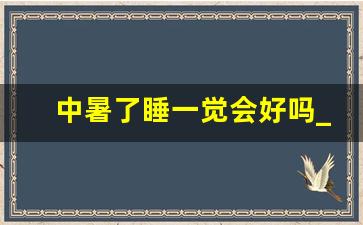 中暑了睡一觉会好吗_中暑为什么不能吹空调