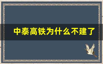 中泰高铁为什么不建了