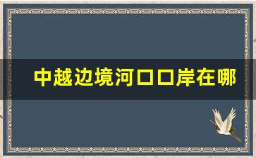 中越边境河口口岸在哪里