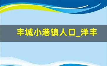 丰城小港镇人口_洋丰城村有多少人口