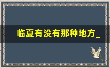 临夏有没有那种地方_临夏南站服务