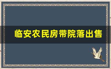 临安农民房带院落出售_临安平房带小院出售