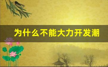 为什么不能大力开发潮汐能_潮汐的最大用途是什么