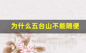 为什么五台山不能随便去_三种人不宜去五台山