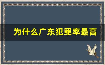 为什么广东犯罪率最高