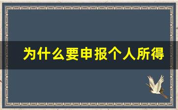 为什么要申报个人所得税_5000以上扣税标准表