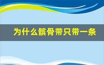 为什么髌骨带只带一条腿_髌骨带一天戴多久