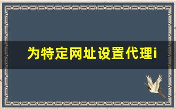 为特定网址设置代理ip_代理ip怎么用