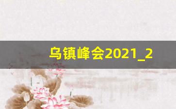 乌镇峰会2021_2019年6月g20峰会