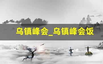 乌镇峰会_乌镇峰会饭局