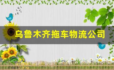 乌鲁木齐拖车物流公司