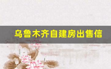 乌鲁木齐自建房出售信息_昌吉农村院子出售信息