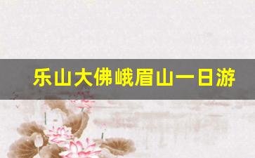 乐山大佛峨眉山一日游攻略