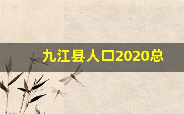 九江县人口2020总人数口