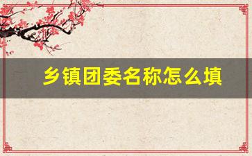 乡镇团委名称怎么填