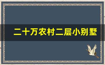 二十万农村二层小别墅_农村15万元二层小楼图