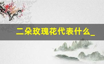 二朵玫瑰花代表什么_玫瑰花两朵代表什么意思