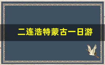 二连浩特蒙古一日游