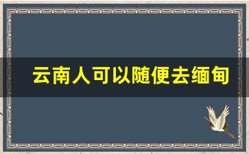 云南人可以随便去缅甸吗