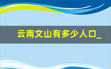 云南文山有多少人口_云南文山简介