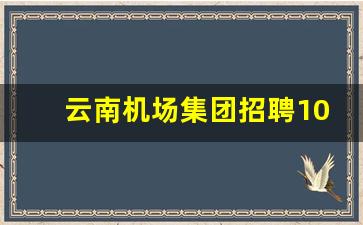 云南机场集团招聘103人