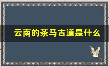 云南的茶马古道是什么意思_对茶马古道的理解