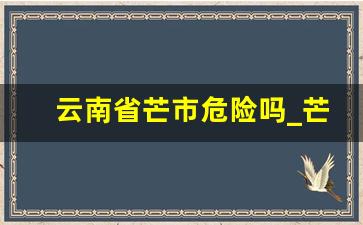 云南省芒市危险吗_芒市治安好不好