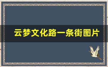 云梦文化路一条街图片_云梦文化路扫黄