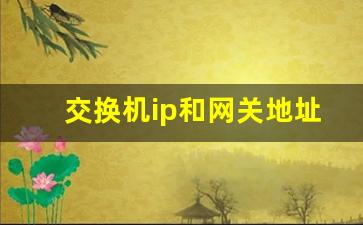 交换机ip和网关地址一样吗