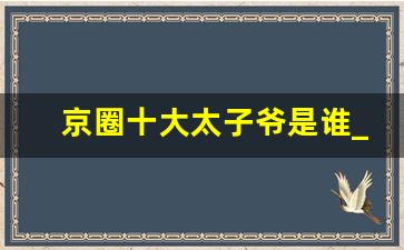 京圈十大太子爷是谁_京圈有多可怕