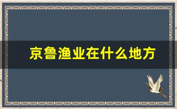 京鲁渔业在什么地方