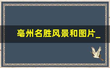 亳州名胜风景和图片_亳州的美誉