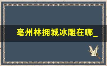 亳州林拥城冰雕在哪_亳州林拥城水上乐园客服电话