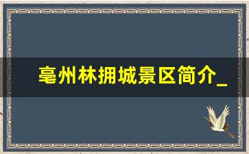 亳州林拥城景区简介_林拥城的开发与利用现状