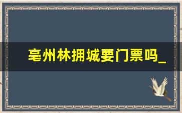 亳州林拥城要门票吗_亳州林拥城有什么好玩的