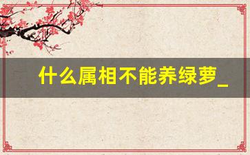 什么属相不能养绿萝_绿萝放在什么地方吉利