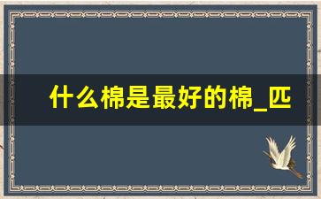 什么棉是最好的棉_匹马棉和珠地棉哪个好